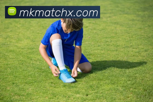 MK体育平台展示图